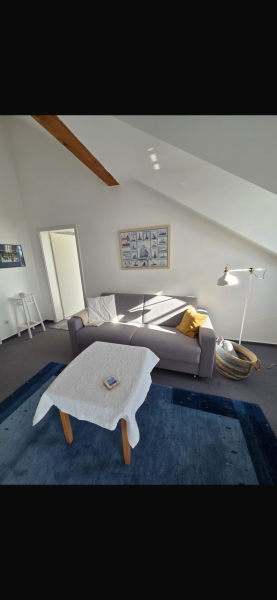 Neues Schlafsofa 